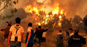 15 شخصاً يلقون حتفهم وعدد من الإصابات في حرائق بغابات شمال الجزائر