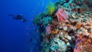 أزمة المناخ تهدد نصف التراث الطبيعي العالمي: تقرير جديد يقرع ناقوس الخطر