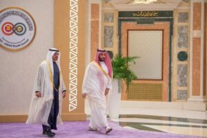 محمد بن زايد
